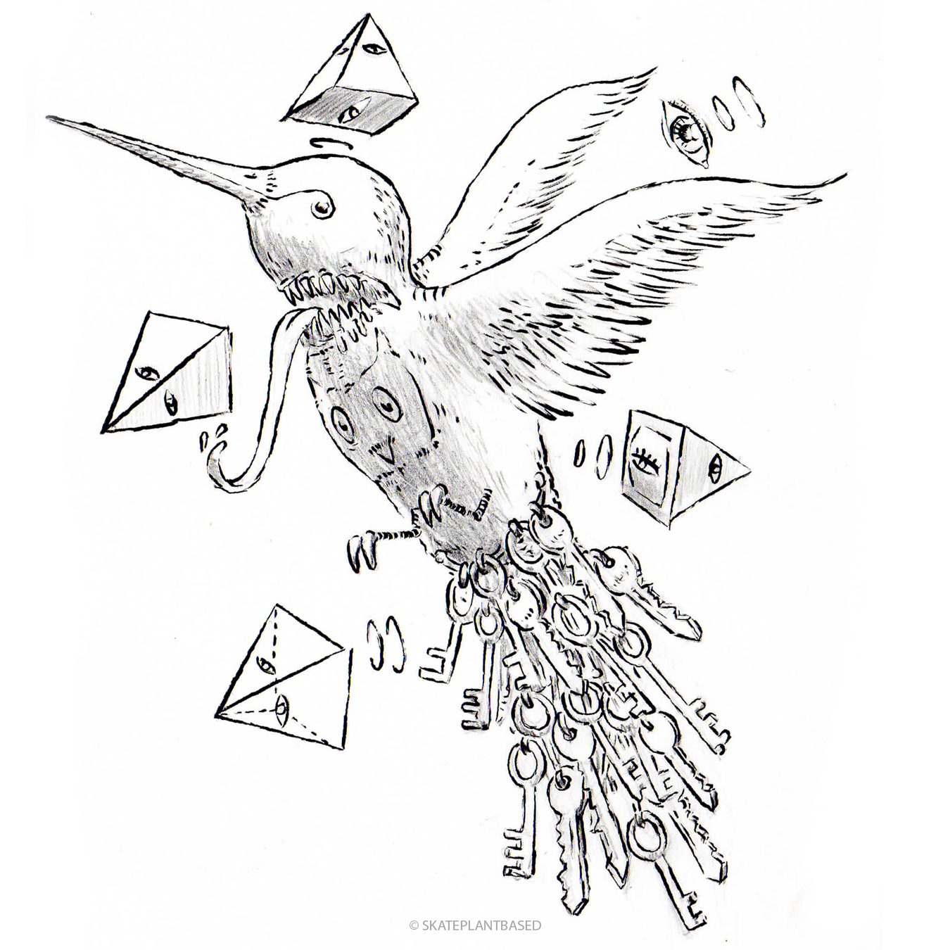 Birdweek1