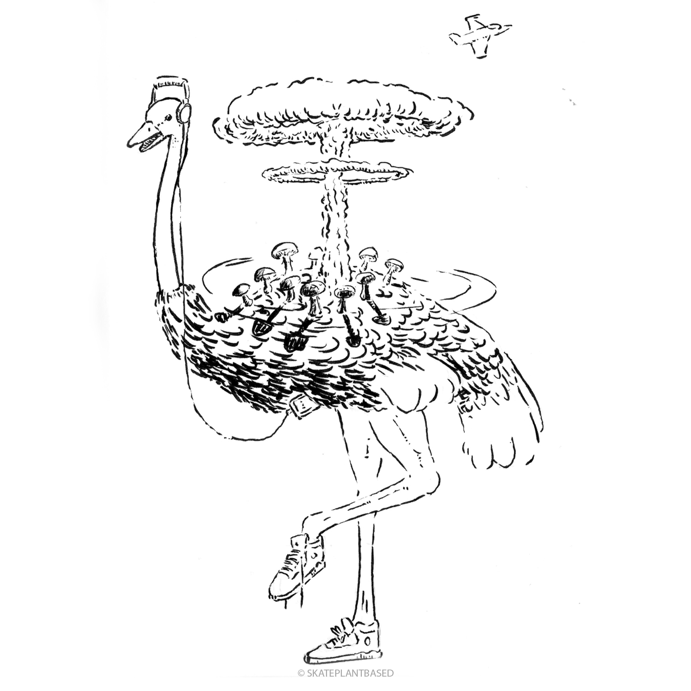 Birdweek4