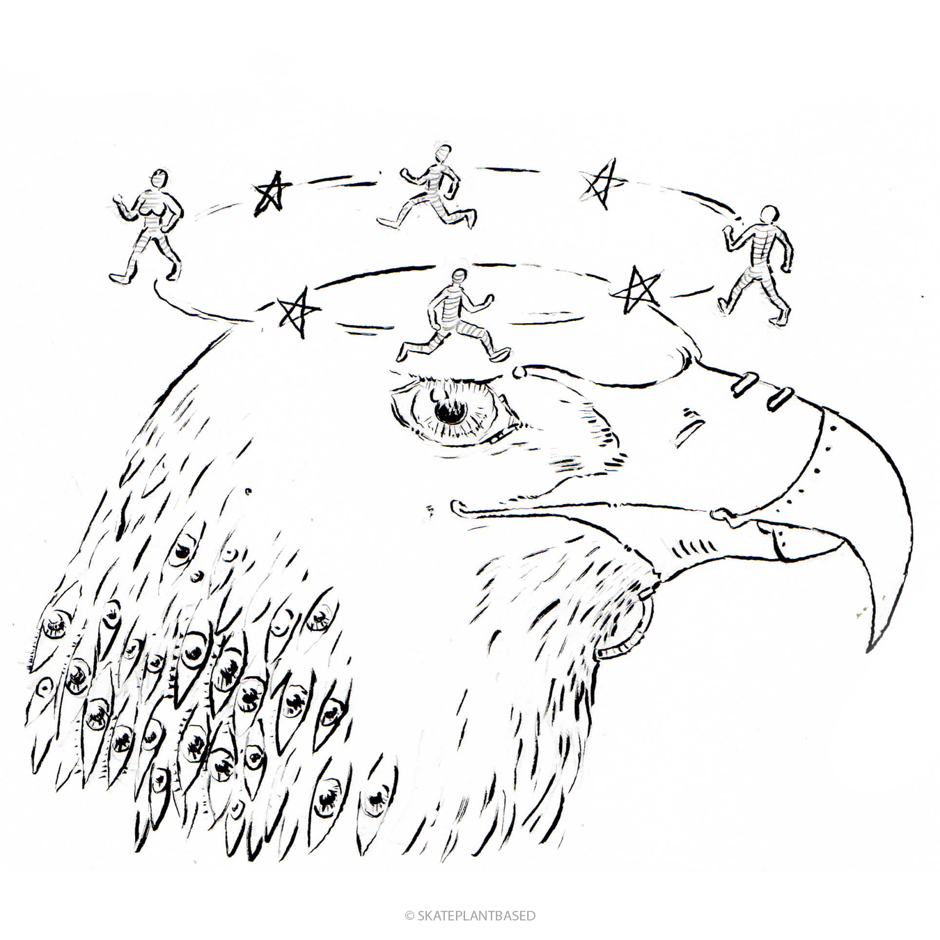 Birdweek5