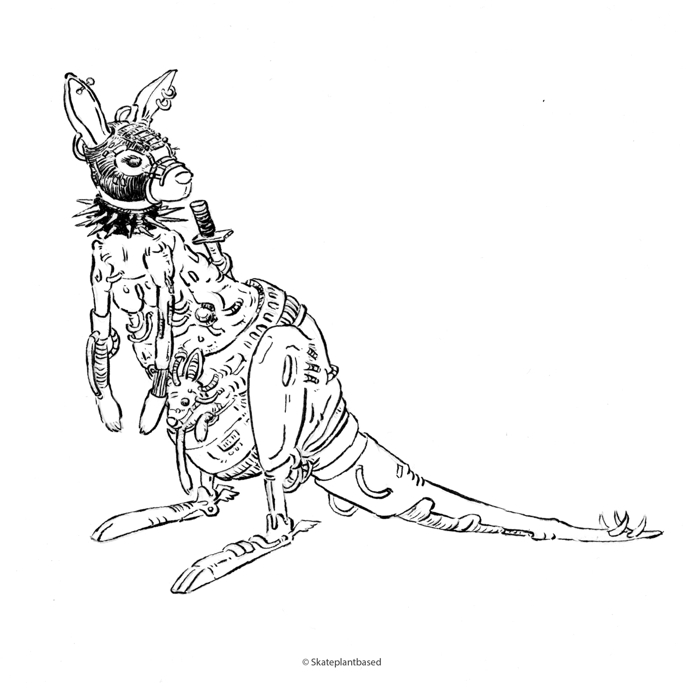 KangarooOM1