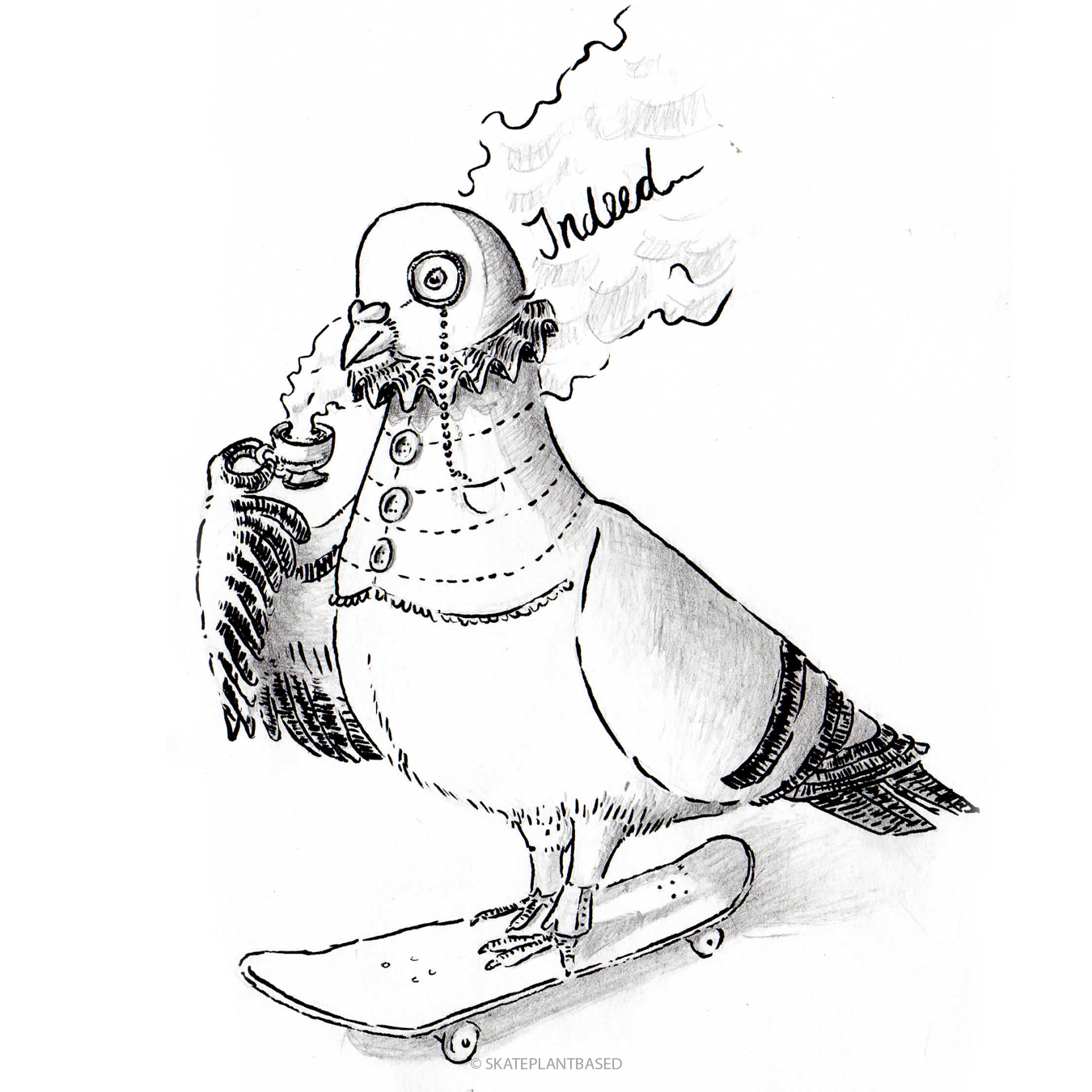 Pigeon_Indeed