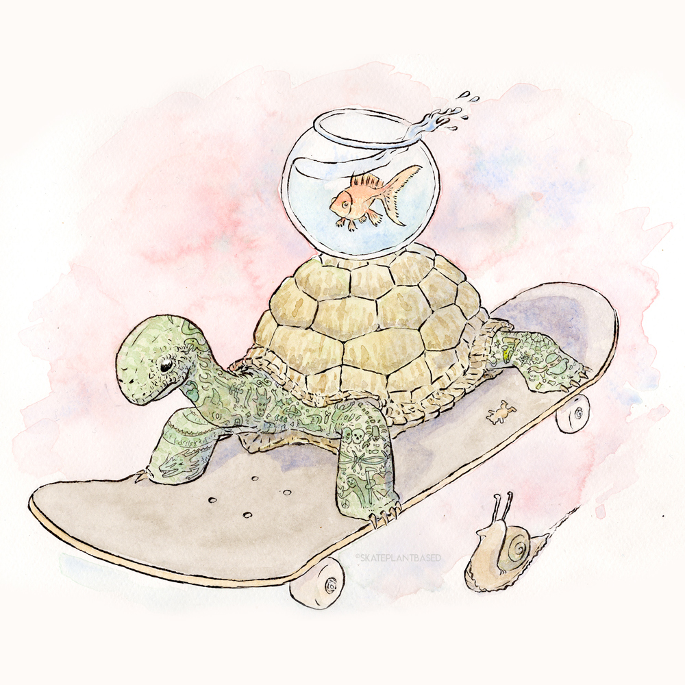 TattooTortoiseSkateboard_color_
