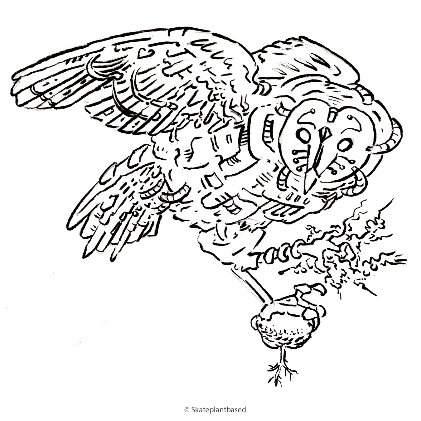 Tierskizzen1_eule